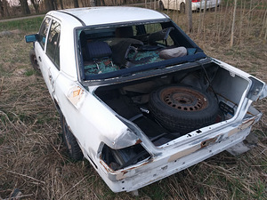 Mercedes benz 124 x2 (6 foto / 8)