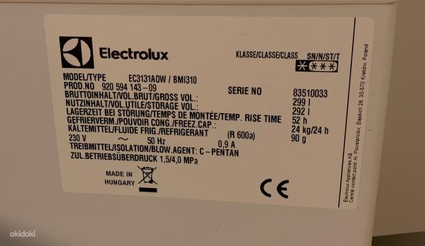 Sügavkülmik Electrolux EC3131AOW (foto #5)