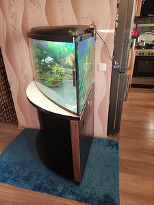 Akvaarium 120l koos kapiga (2 foto / 3)