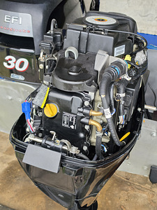 Paadimootor MERCURY EFI F30ELPT (6 foto / 7)