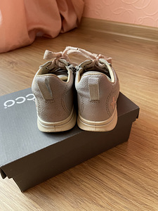 Ecco s24 (5 foto / 5)