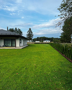 Haljastus (1 foto / 3)