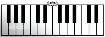Новое большое пианино-танцпол 260 см (фото #2)