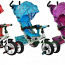 Новые трехколесные велосипеды Sport trike (фото #1)