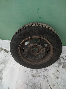 R15 talverehvid (6 foto / 6)