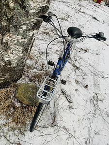 Peugeot 28” jalgratas (4 foto / 8)
