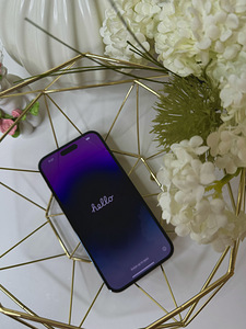 Apple IPhone 14 Pro Max 1TB Deep Purple (2 foto / 4)