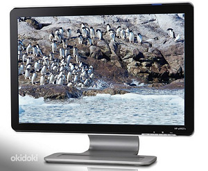 19" HP w1907 monitor (1 foto / 4)
