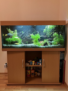 Akvaarium JUWEL Rio240 (1 foto / 2)