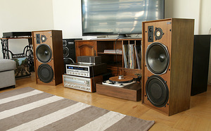 Celestion Ditton 25 kõlarid (1 foto / 10)