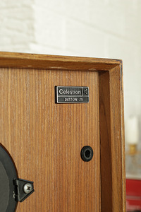 Celestion Ditton 25 kõlarid (7 foto / 10)
