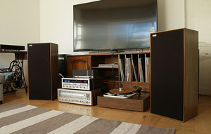 Celestion Ditton 25 kõlarid (8 foto / 10)