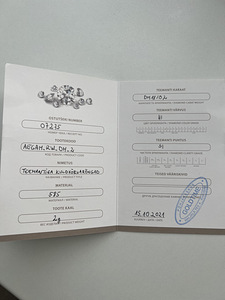 Kuldkõrvarõngad teemantiga (3 foto / 5)