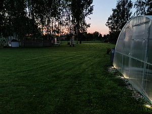 Lille tn 3, Mustla, Viljandi vald, Viljandimaa (3 foto / 15)
