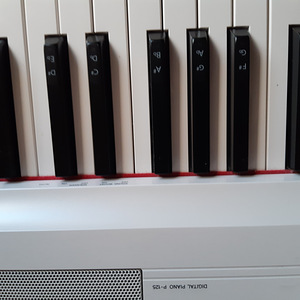 Digiklaver Yamaha P-125 valge koos alusega +pedaal + juhend (4 foto / 5)