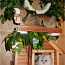 Дом для кота (фото #2)