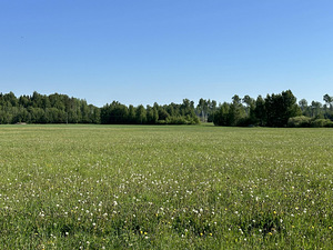 LOODUSKAUNIS KRUNT TARTUST 11KM KAUGUSEL (2 foto / 3)