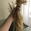 Славянские волосы (фото #1)