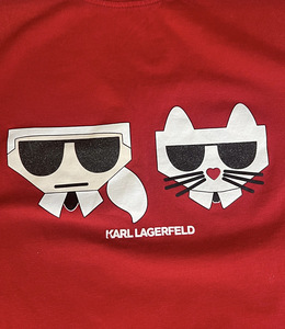 Karl Lagerfeld t-särk (2 foto / 3)