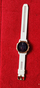 Garmin fenix 5S Sapphire Rose (2 foto / 5)