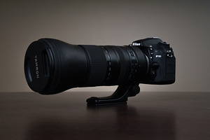 Nikon D7100 - Tamron SP 150-600mm F/5-6.3 Di VC USD G2 (1 foto / 10)