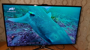 Samsungi teler (2 foto / 10)