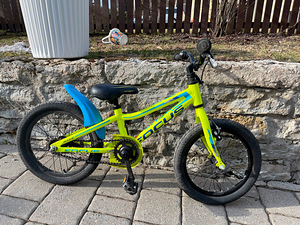 Lasteratas Focus Rookie (1 foto / 1)