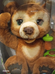 Nagu uus furreal hasbroo interaktiivne kaisukaru Cuby (4 foto / 9)
