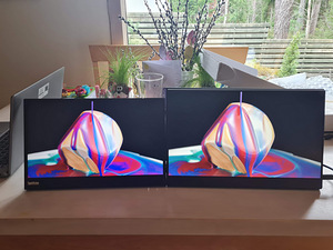 Kaasaskantav USB-c monitor Cocopar Y156FH7S , FHD (2 foto / 7)