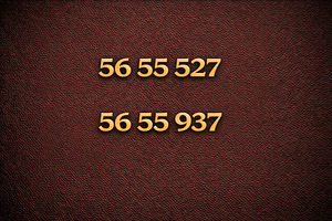 VIP telefoninumber, mobiilinumber (1 foto / 1)