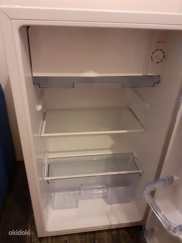 Hisense холодильник 84см (фото #2)