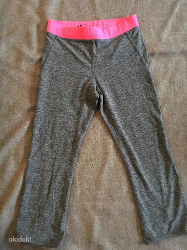 H&M spordiretuusid s. 146