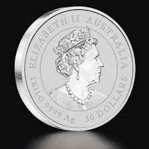 Инвестиционное серебро, монеты - 1 кг