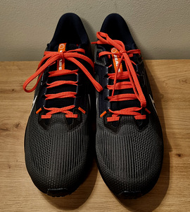 Nike Pegasus 40 NFL Chicago Bears edition (4 foto / 7)