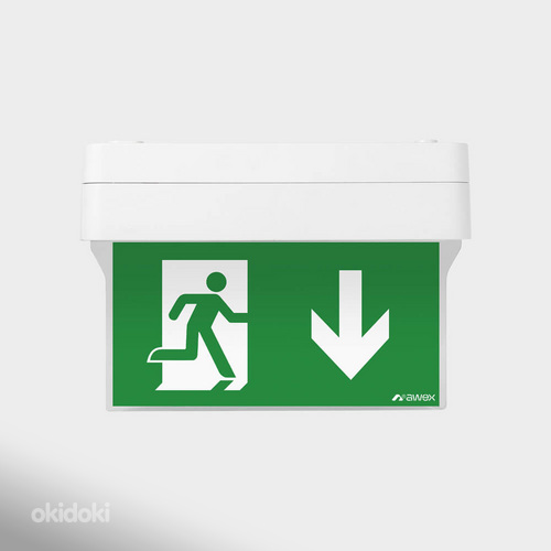 Exit valgusti Arrow N