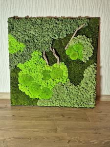 Картина из мха 70 см × 70 см (2 фото из 4)
