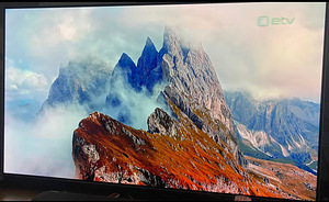 LG OLED 65" 6BJ teler (2 foto / 4)