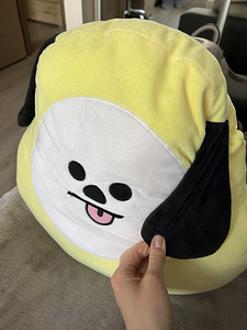 BTS Chimmy padi (2 foto / 2)