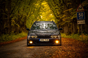 BMW E39 530D roostevaba kere (1 foto / 3)