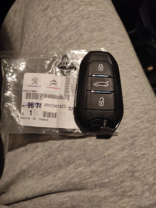 Citroen võtmekorpus (2 foto / 2)