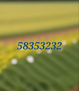 Telefoninumber 3 tk. (3 фото из 3)