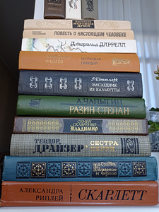 Ideaalses korras raamatud (5 foto / 5)