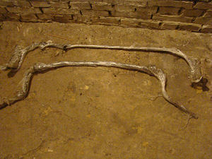 Mercedes S124, 2,5 D vedrude komplekt (3 foto / 10)