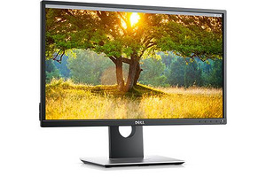Dell Professional P2417H (2 foto / 2)