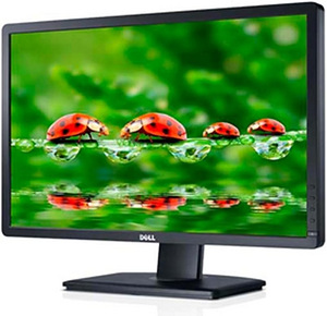 Dell Professional P2412H (1 foto / 1)