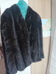 Lühike naaritsakasukas autolady jaoks (1 foto / 3)
