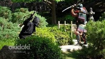 Логічна гра ніндзя і самураї (фото #3)