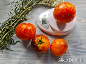 Valik 10 maitsvaid triibuliste tomatite sorte! Seemned (10 foto / 10)