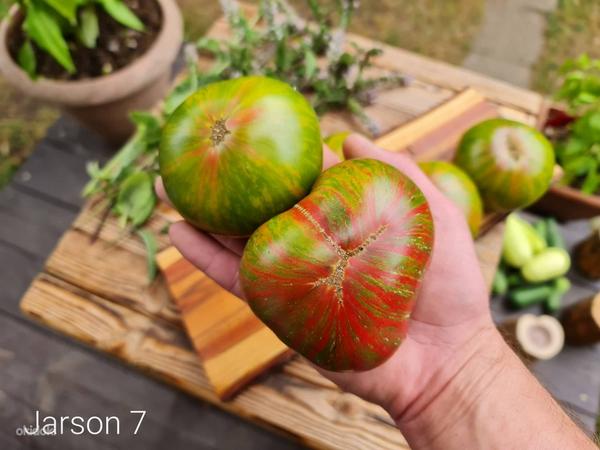 Подборка из 10 вкуснейших сортов полосатых томатов! Семена (фото #5)