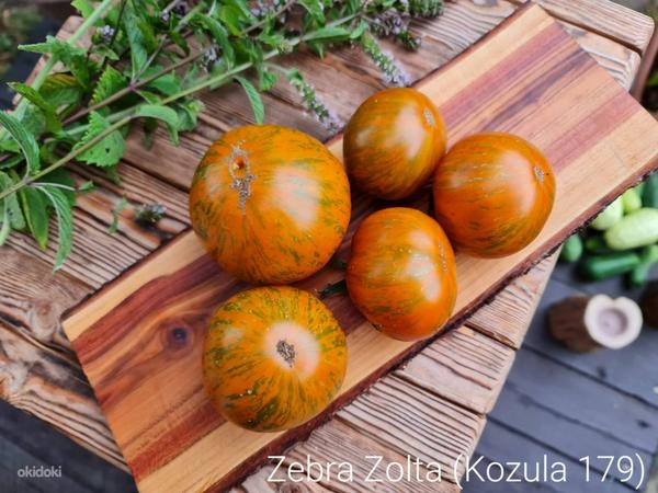 Valik 10 maitsvaid triibuliste tomatite sorte! Seemned (foto #7)